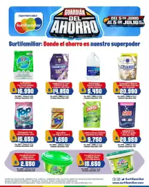 Catálogo Surtifamiliar Página 8