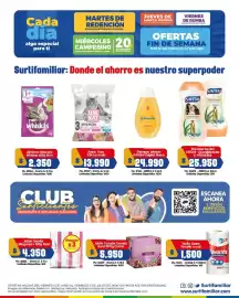 Catálogo Surtifamiliar Página 9