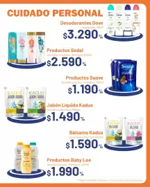 Catálogo Provimarket Página 31