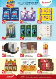 Shaklan leaflet Page 2