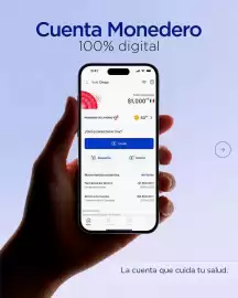 Folleto Farmacias del Ahorro Página 1