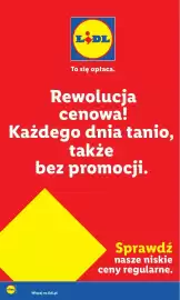 Lidl gazetka Strona 22