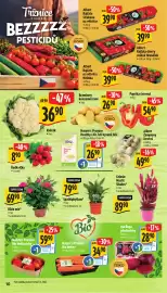 Albert leták | Supermarket Strana 16