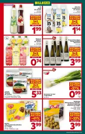 Billa Flugblatt woche 23 Seite 5
