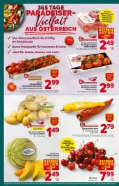 Billa Flugblatt woche 23 Seite 6
