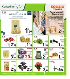 Volantino Spazio Conad Pagina 23