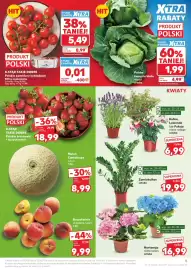 Kaufland gazetka tydzień 24 Strona 5