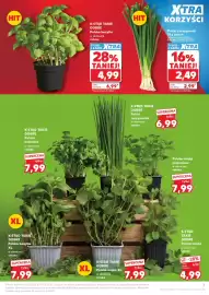 Kaufland gazetka tydzień 24 Strona 7