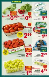 Billa Flugblatt woche 24 Seite 8