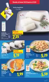 Catálogo Lidl semana 25 Página 13