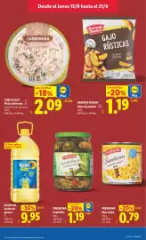 Catálogo Lidl semana 25 Página 25