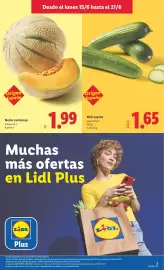 Catálogo Lidl semana 25 Página 3