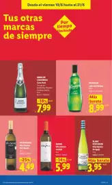 Catálogo Lidl semana 25 Página 49