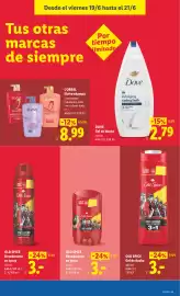 Catálogo Lidl semana 25 Página 55
