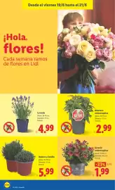 Catálogo Lidl semana 25 Página 64