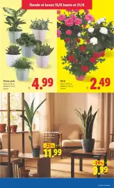 Catálogo Lidl semana 25 Página 65