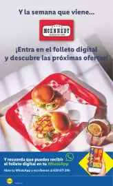 Catálogo Lidl | Bazar Página 34