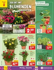 Netto Marken-Discount DE folder week 24 Pagina 12