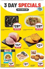 IGA catalogue Page 2