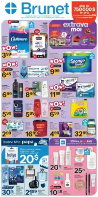 Brunet flyer