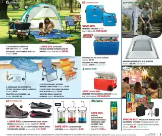 Canadian Tire flyer Page 3