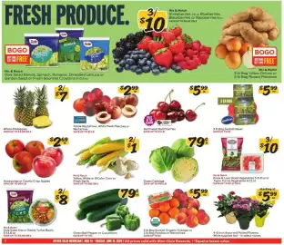 Winn Dixie weekly ad week 24 Page 2