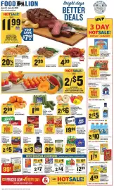 Food Lion weekly ad week 24 Page 1