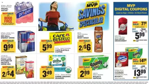 Food Lion weekly ad week 24 Page 14