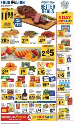 Food Lion weekly ad