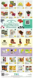Fresh Thyme weekly ad week 24 Page 5
