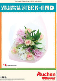 Auchan folder Pagina 2