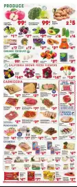 Vallarta Supermarkets weekly ad week 23 Page 4