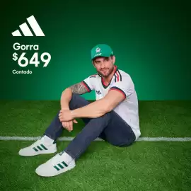 Catálogo Coppel semana 24 Página 4