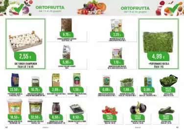 Volantino Scelgo Pagina 22