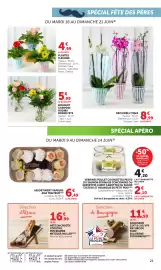Catalogue Bi1 page 21