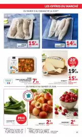 Catalogue Bi1 page 25