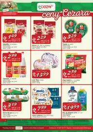 Cezar Delikatesy gazetka Strona 8