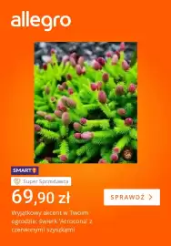 Allegro gazetka tydzień 24 Strona 2