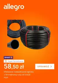 Allegro gazetka tydzień 24 Strona 3