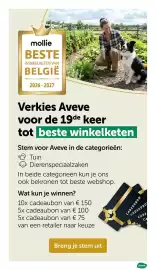 AVEVE folder Pagina 13
