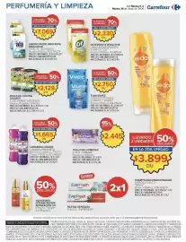 Catálogo Carrefour Página 19