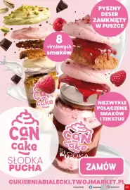 Twój Market gazetka tydzień 24 Strona 43