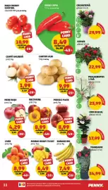 Catalog Penny săptămâna 24 Pagină 11