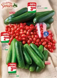 Dino gazetka tydzień 24 Strona 43