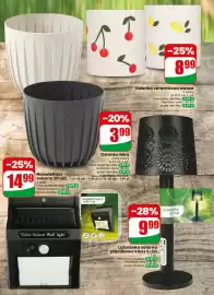 Dino gazetka tydzień 24 Strona 67