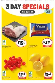IGA catalogue Page 1