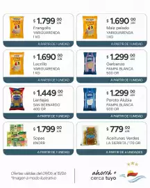 Catálogo El Milagro Mayorista semana 24 Página 14