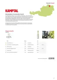 Eurogast Grissemann Flugblatt Seite 21