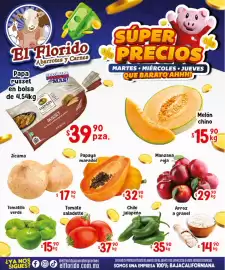 Folleto El Florido Página 1