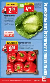 Polomarket gazetka tydzień 24 Strona 7